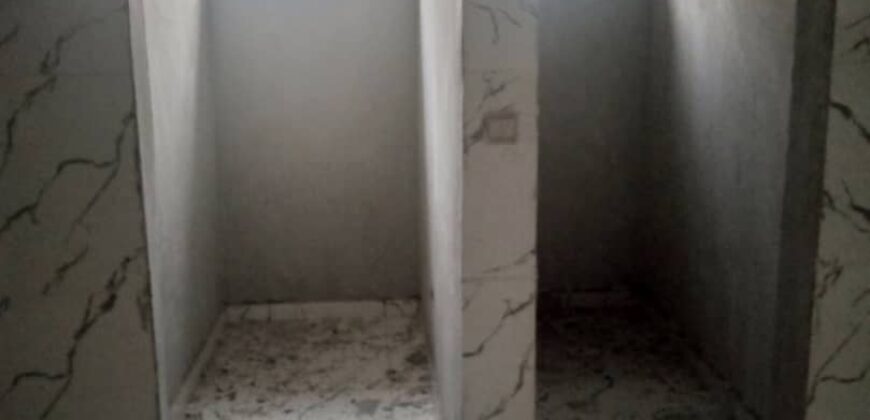 Brand new exclusive fully 4 bedroom detached duplex +BQ for sale