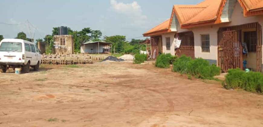 Uncompleted poultry farm and block moulding factory