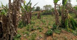Uncompleted poultry farm and block moulding factory