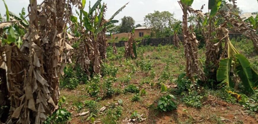 Uncompleted poultry farm and block moulding factory