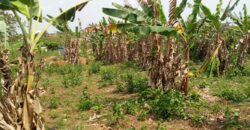 Uncompleted poultry farm and block moulding factory