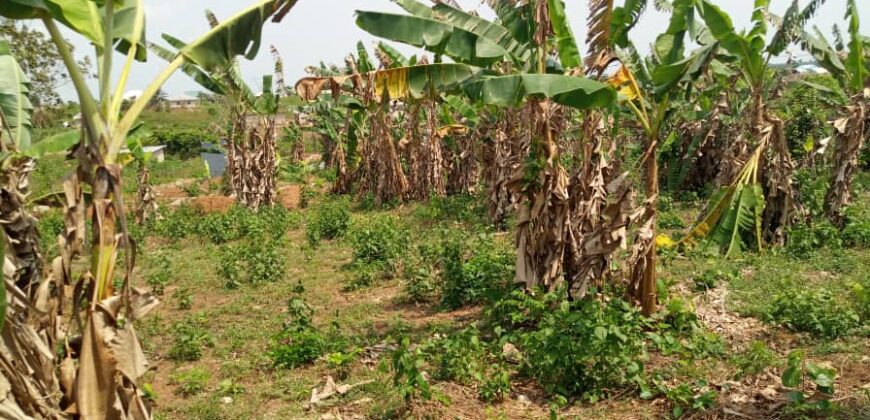 Uncompleted poultry farm and block moulding factory
