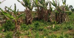 Uncompleted poultry farm and block moulding factory