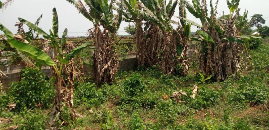 Uncompleted poultry farm and block moulding factory