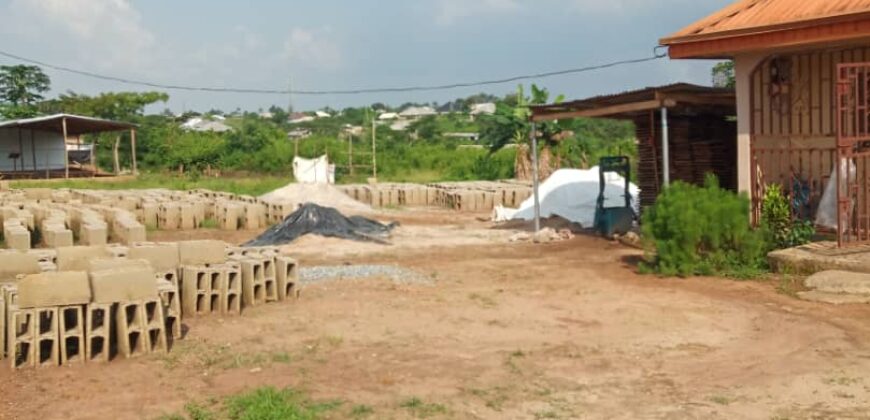 Uncompleted poultry farm and block moulding factory