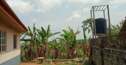 Uncompleted poultry farm and block moulding factory