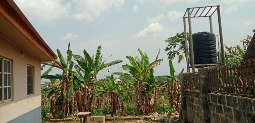 Uncompleted poultry farm and block moulding factory
