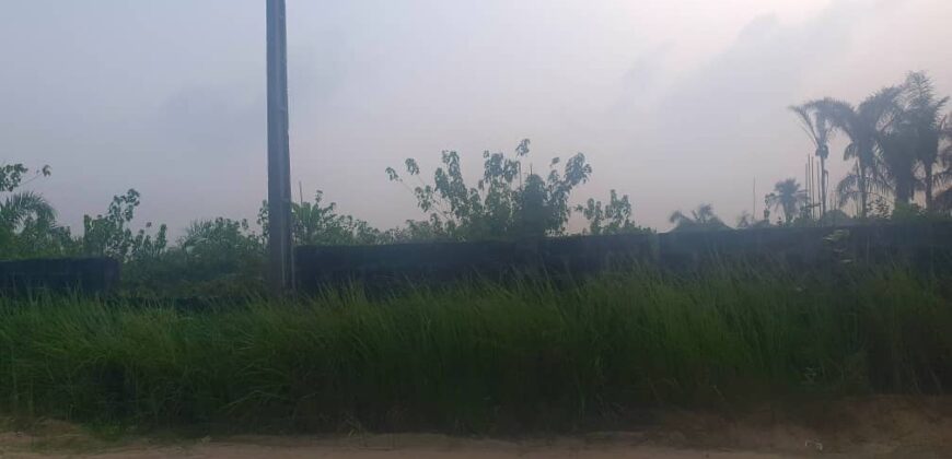 Half plot of land in abijo