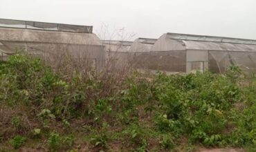 LAND IN HIGHBRIDGE FARMCITY EPE