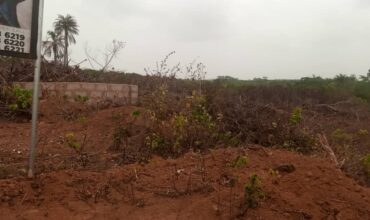 600sqm land in HIGHBRIDGE GARDENS