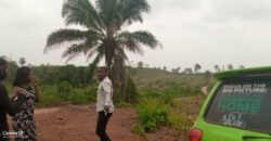 600sqm land in HIGHBRIDGE GARDENS