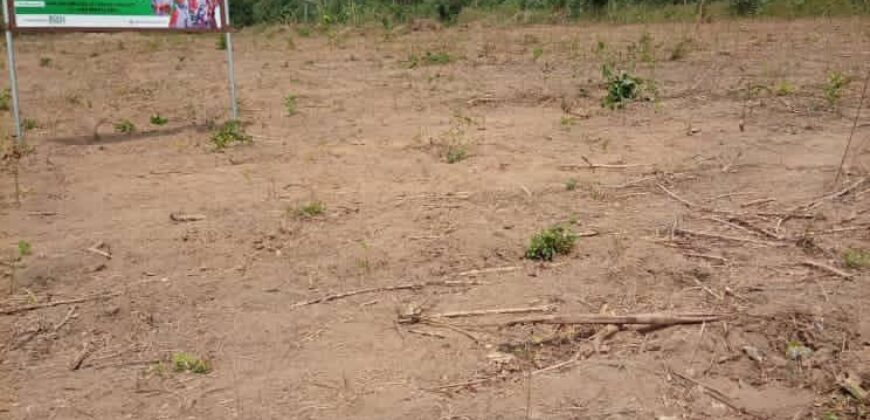 500SQM LANDS IN PRIMEHOOD ESTATE IBADAN