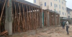 NEWLY BUILT 2 BEDROOM AT EVERLY APARTMENTS AJAH