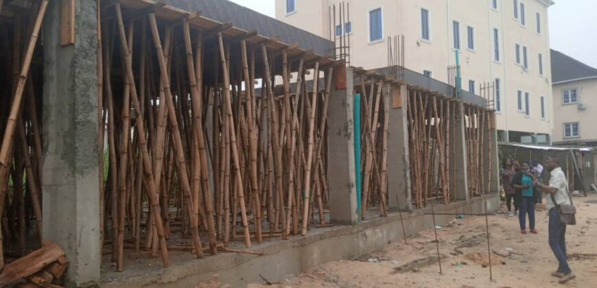 NEWLY BUILT 2 BEDROOM AT EVERLY APARTMENTS AJAH