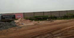 LANDS IN GRACIAS GOSHENITE OGOMBO