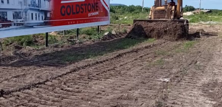 DRY LANDS IN GRACIAS GOLDSTONE ESTATE