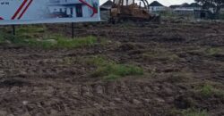 DRY LANDS IN GRACIAS GOLDSTONE ESTATE