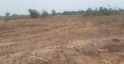 LANDS IN DELIGHT ESTATE