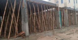 NEWLY BUILT 2 BEDROOM AT EVERLY APARTMENTS AJAH