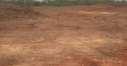 LANDS IN BLUE PRIDE ESTATE EPE