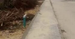 LANDS IN GENESIS COURT PHASE 2 AJAH