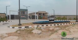 3 Bedroom Terrace at Westwood Lavadia Estate