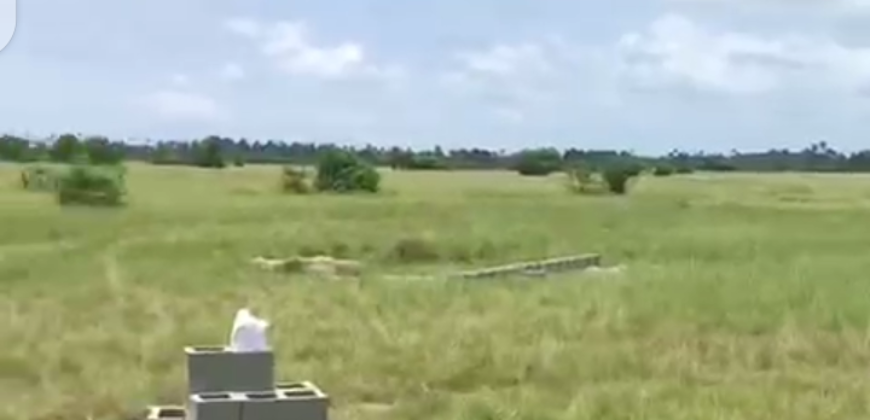 Half plot of Land at Ibeju Lekki