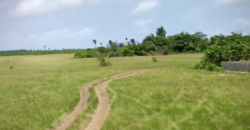 Half plot of Land at Ibeju Lekki