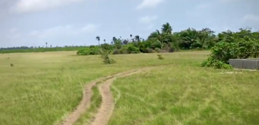 Half plot of Land at Ibeju Lekki