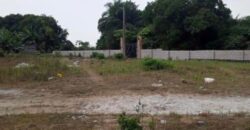 PORTABLE LANDS MEASURING 250SQM IN PALMSPRINGS ESTATE BOGIJE.