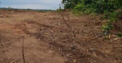 500SQM IN CITY NEST ESTATE EXTENSION EPE