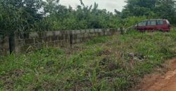 GOOD LANDS MEASURING 450SQM IN ARAGA LUXURY ESTATE, EPE.*