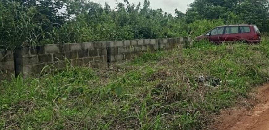 GOOD LANDS MEASURING 450SQM IN ARAGA LUXURY ESTATE, EPE.*