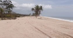 CHEAPEST OCEAN VIEW LANDS IN VOPNU CITY