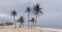 CHEAPEST OCEAN VIEW LANDS IN VOPNU CITY