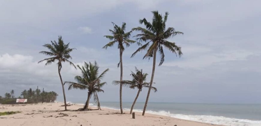 CHEAPEST OCEAN VIEW LANDS IN VOPNU CITY