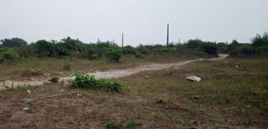 PORTABLE LANDS MEASURING 250SQM IN PALMSPRINGS ESTATE BOGIJE.