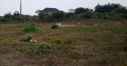 PORTABLE LANDS MEASURING 250SQM IN PALMSPRINGS ESTATE BOGIJE.