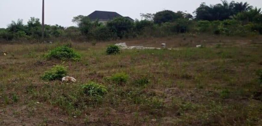 PORTABLE LANDS MEASURING 250SQM IN PALMSPRINGS ESTATE BOGIJE.