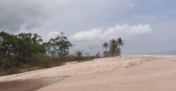 CHEAPEST OCEAN VIEW LANDS IN VOPNU CITY