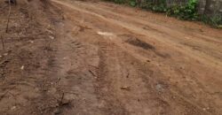300SQM IN CITY NEST ESTATE EXTENSION EPE