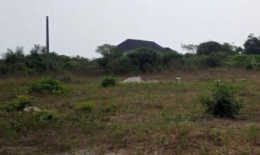 GOOD LANDS MEASURING 300SQM IN PALMSPRINGS ESTATE BOGIJE.