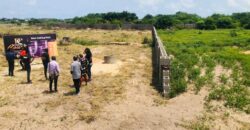 GENUINE LANDS IN PINNACLE COURT, Ebute-Lekki