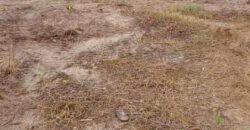 DRY LANDS AT YORKVILLE ESTATE IBEJU-LEKKI
