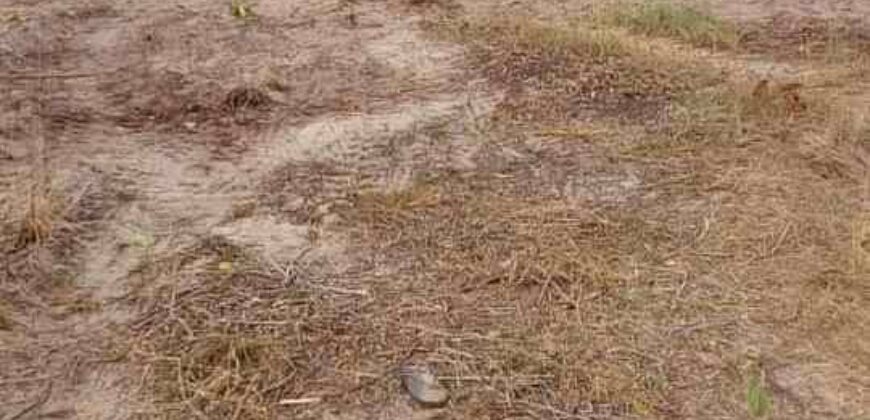 DRY LANDS AT YORKVILLE ESTATE IBEJU-LEKKI