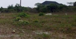 PORTABLE LANDS MEASURING 250SQM IN PALMSPRINGS ESTATE BOGIJE.