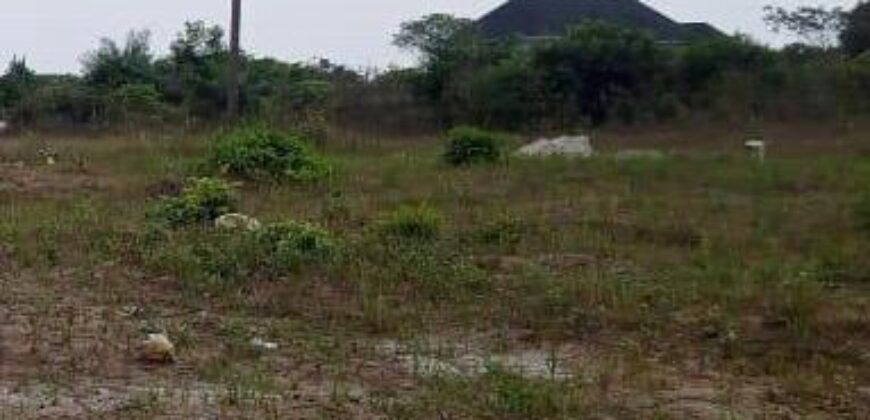 PORTABLE LANDS MEASURING 250SQM IN PALMSPRINGS ESTATE BOGIJE.