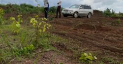 CHEAP 300SQM DRY LANDS AT THE CAPSTONE SCHEME 2