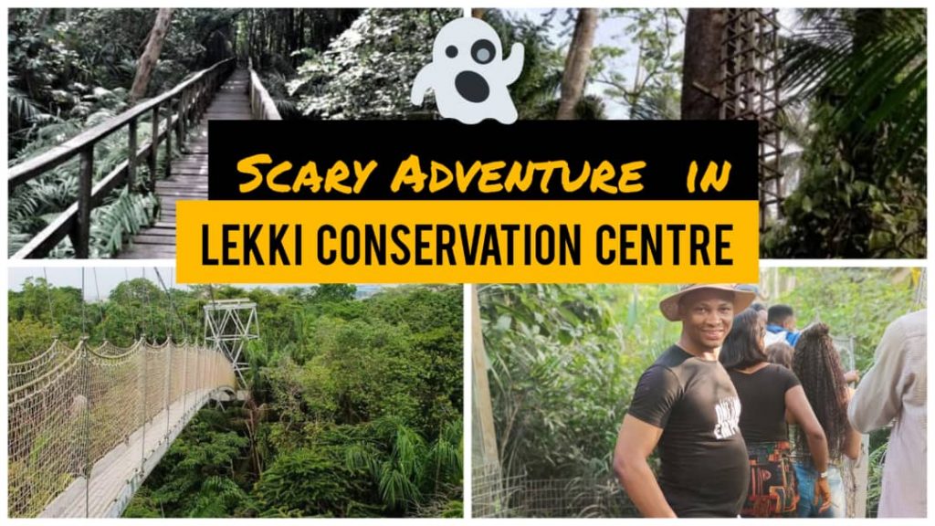 Curated visual reference: Picture Idea: The Most Scary Canopy Walkways In Africa