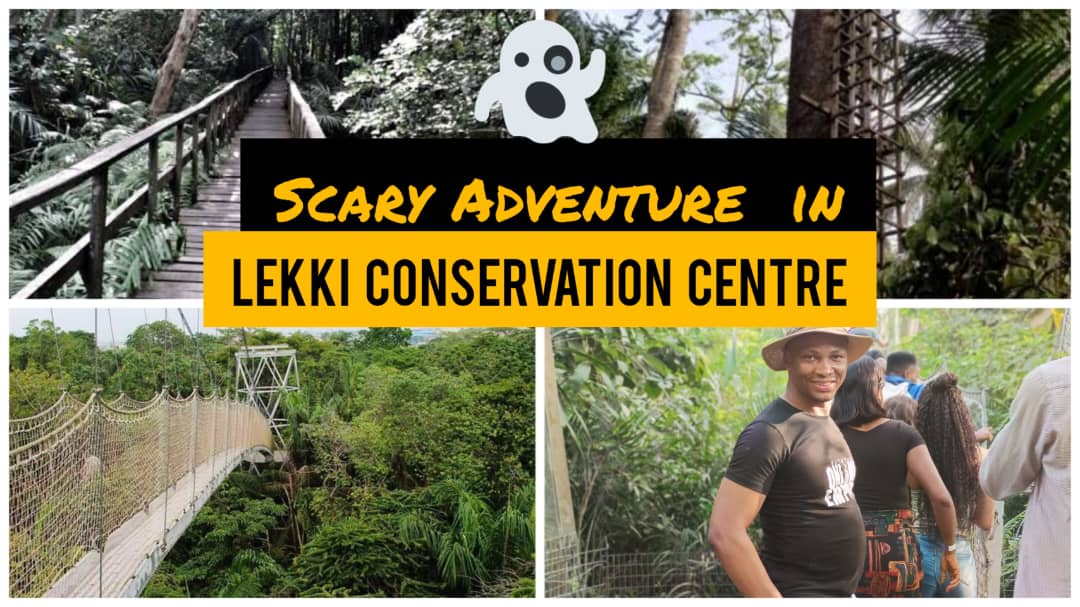 The Most Scary Canopy Walkways In Africa – LEKKI CONSERVATION CENTRE
